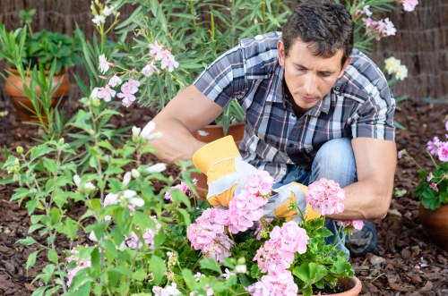 Design and planning for a Southfields deck