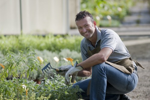 Weed control in a Southfields garden
