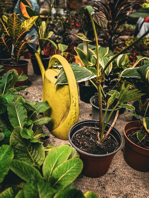 A photograph of a garden shows a lush, well-maintained lawn with neatly trimmed grass bordered by garden beds filled with a variety of plants and shrubs. In the foreground, a stone pathway winds throu